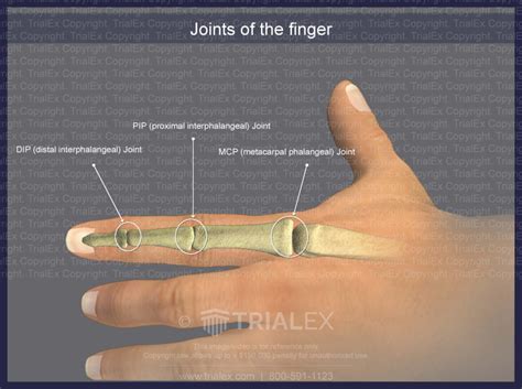 Image result for Finger Joint Tutorial