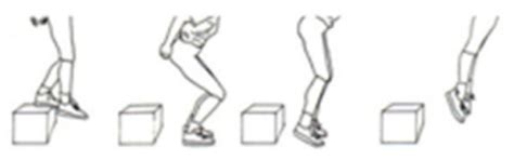 Influence of Menstrual Cycle Phases on Muscle Activation in Women: A ...
