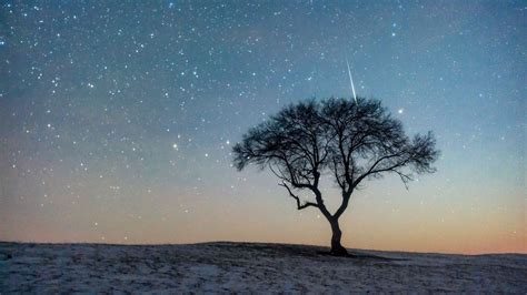 Leonids Meteor Shower 2025: Dates, Peak & How to See Fireballs - World Today Journal