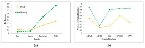 Detection of Longhorned Borer Attack and Assessment in Eucalyptus ...