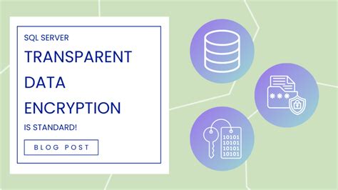 Image result for Transparent Data Encryption SQL Server