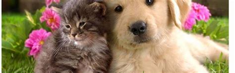 Events | Visit Loutraki