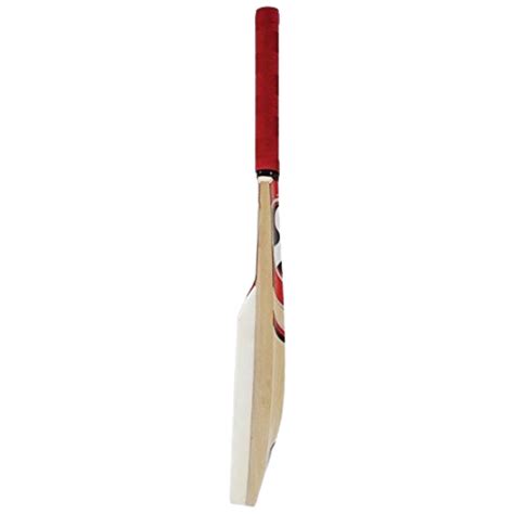 SG Catch Bat – Foam Face Kashmir Willow Practice Cricket Bat ...