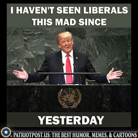 PATRIOT POST MEMES – Tolley's Topics