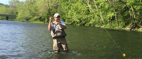 Arkansas Fishing License 2025: How to Buy Online/In-Person