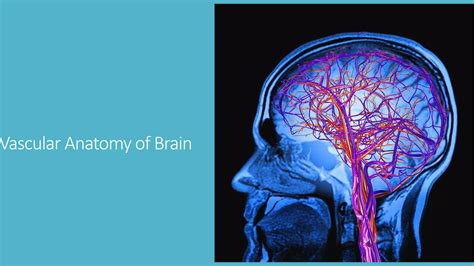 Magnetic Resonance Angiography and Venography | PPTX