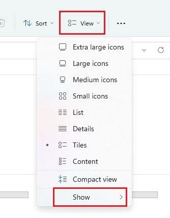 Image result for How to Show File Extensions in Windows 11