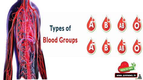 Blood groups : रक्त समूह कितने प्रकार के होते हैं? ! Type of Blood ...