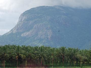 Pollachi - 34 lands in Pollachi - Mitula Homes