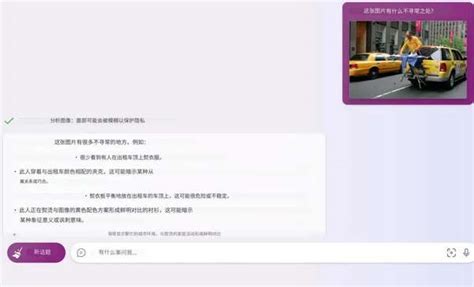 Bing 图片识别 的图像结果