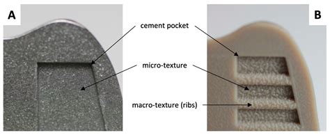 The Effects of Cyclic Loading and Motion on the Implant–Cement ...