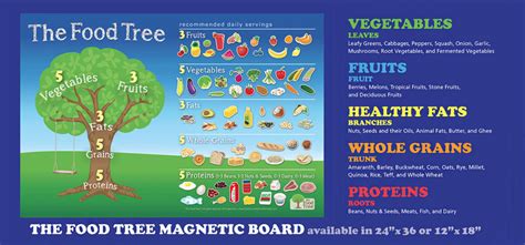 Image result for Food Tree