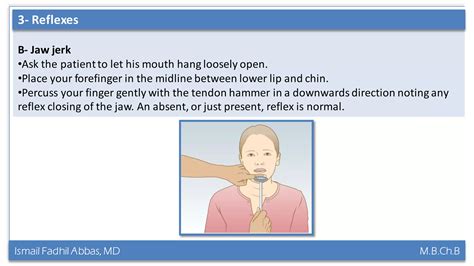 Trigeminal & Facial Nerve Clinically | PDF