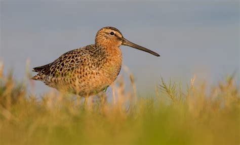 Shutter Priority Tutorial 的图像结果