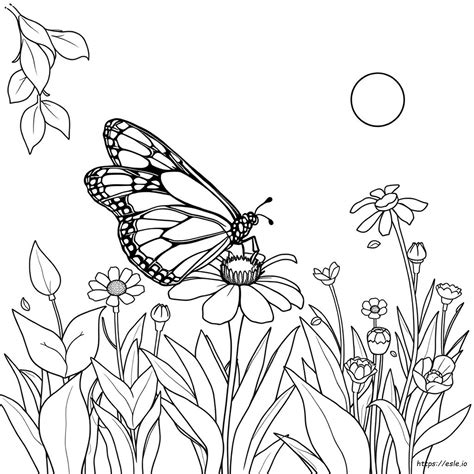 Ücretsiz Kral Kelebeği Boyama Sayfaları