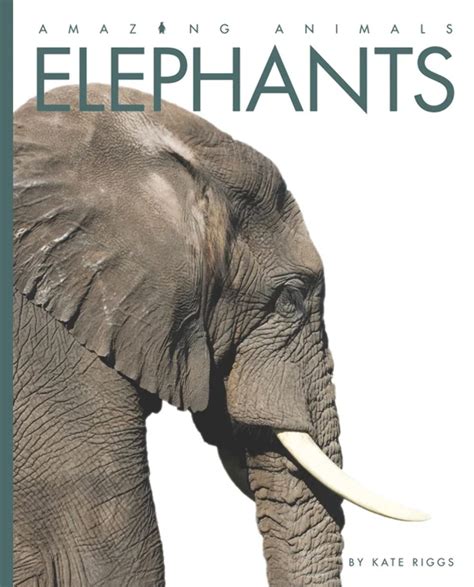 Buy Amazing Animals: Elephants Book Online at Low Prices in India ...