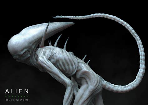 Image result for Alien Covenant Baby Neomorph