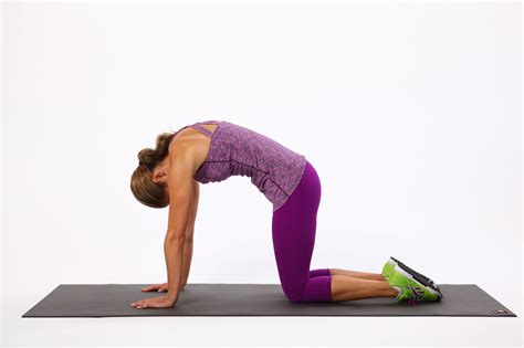 Cat-Cow Stretch | 3 Amazing Stretches to Alleviate Lower Back Pain | POPSUGAR Fitness