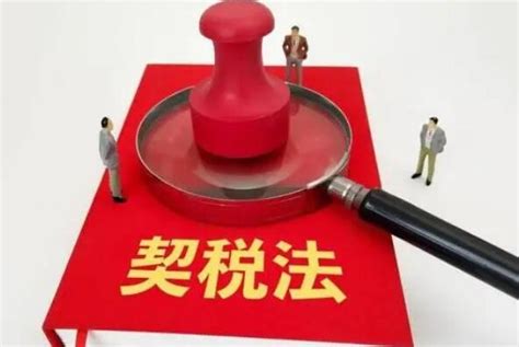 学习解读中华人民共和国契税法PPT-麦克PPT网
