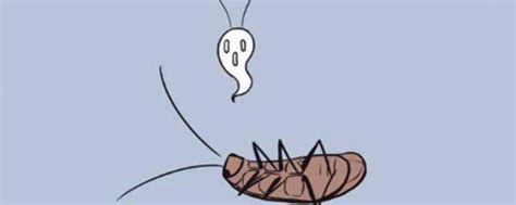 家里出现蟑螂如何处理 家里出现蟑螂怎么处理_知秀网