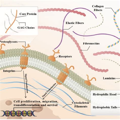 Image result for Slrp Connection