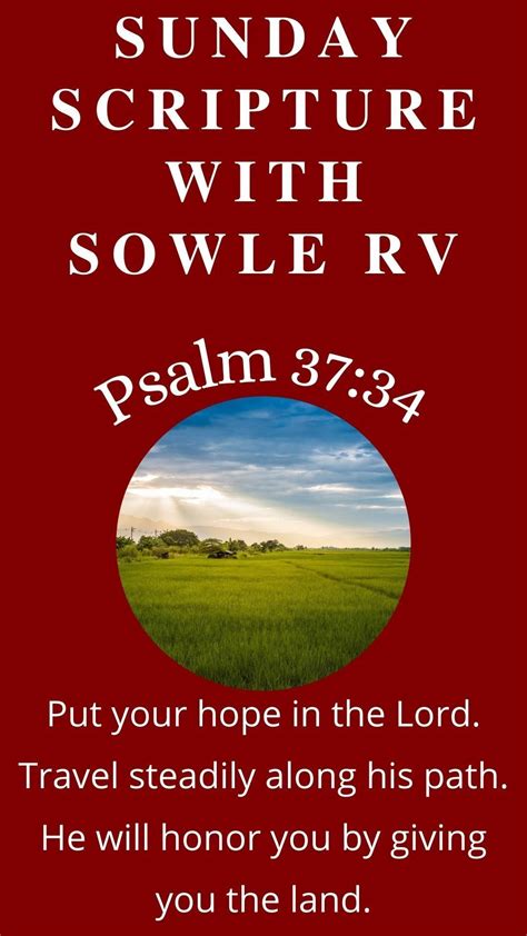 Sunday Scripture 的图像结果