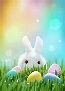 Image result for Cute White Bunny PFP