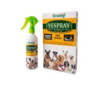 Delivering Fresh Organic Since 2014 | Healthy Buddha | Organic| Online ...