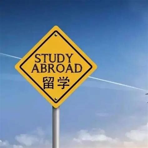 国内出国的留学中介哪些比较好