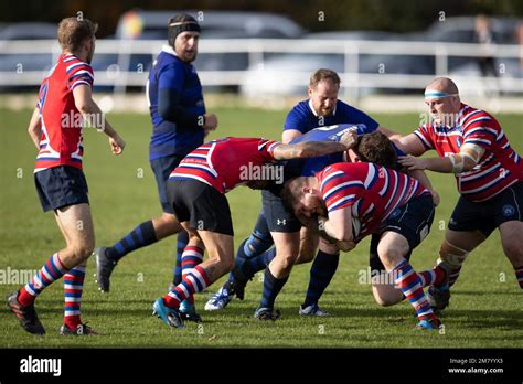 Rugby Matches 的图像结果