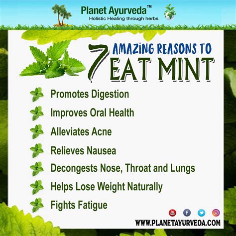 Does Mint Gum Help With Nausea at Lemuel Charles blog