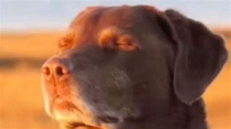 Spinning Script Roblox 的图像结果