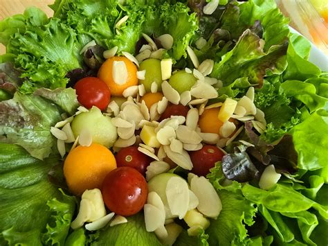 16 BRIX MELON FARM & CAFE, Nakhon Nayok - Restaurant Reviews, Phone ...