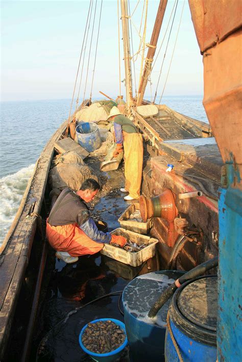 白天在海湾工作的渔民高清图片下载-正版图片502072015-摄图网