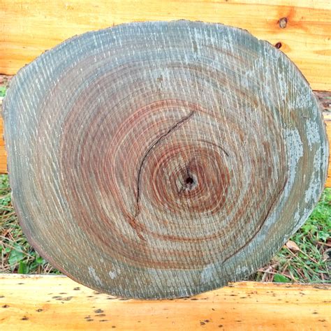 Lignum Vitae | The Wood Database (Hardwood)