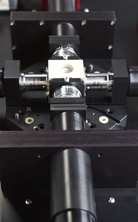 Image result for Luxendo Muvi Image Processing Tutorial