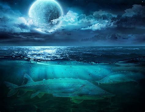 Just for fun ride an Sturgeon moon nite ride on the 1st supermoon of ...