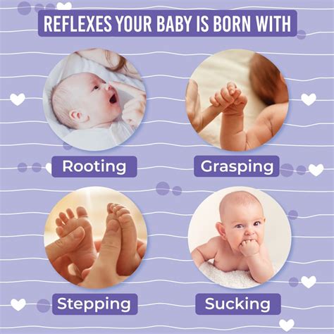 Newborn Reflex 的图像结果