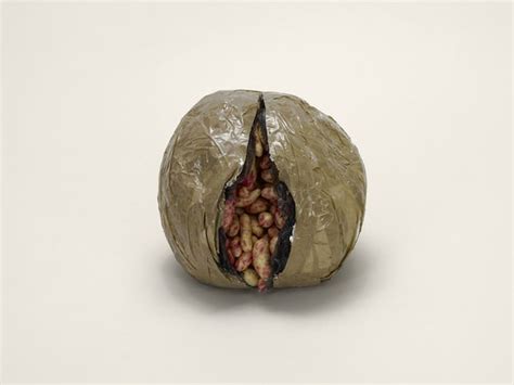 Image result for Contraband Poop