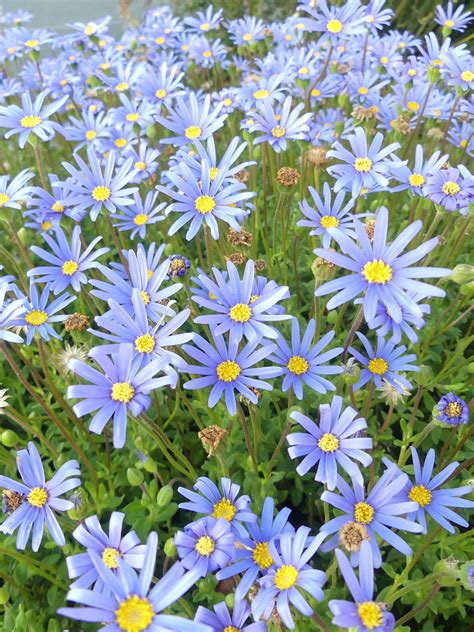 Felicia Morina Complete Download Package #615