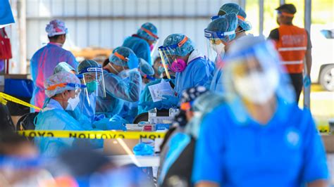 Image result for Covid Testing Updates