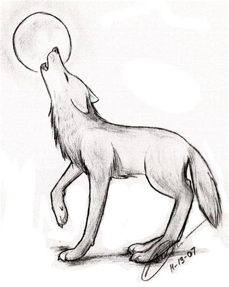 A Drawing Of A Wolf Simple Drawing Of A Wolf Easy Drawings Wolves Pic ...