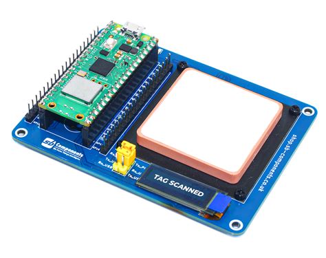 Image result for Raspberry Pi Switch Lite