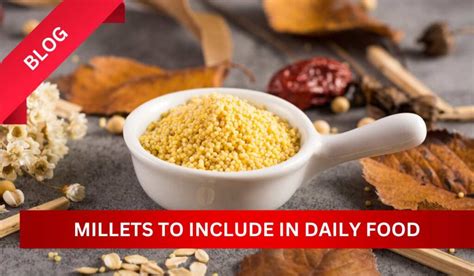 5 millets to include in your daily food to beat this summer – The ...