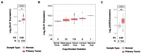 Inhibition of GLO1 in Glioblastoma Multiforme Increases DNA-AGEs ...