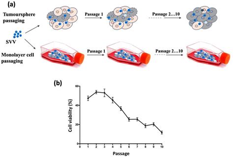 Directed Evolution of Seneca Valley Virus in Tumorsphere and Monolayer ...