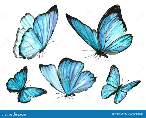 Drawing Butterfly Flying at Dakota Frith blog