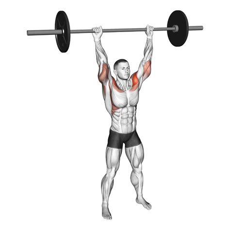 Dumbbell Standing Shoulder Press: Guide, Muscles Worked, Tips | Athlemove