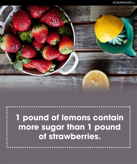 Most Random Facts 的图像结果