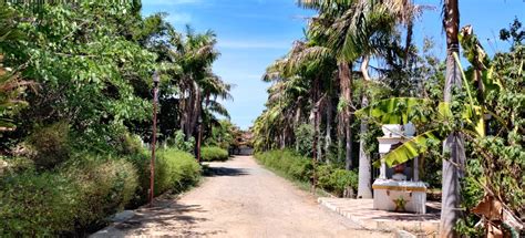 Sun Thermo Process in tiruvannamalai, Raw Material storage in ...
